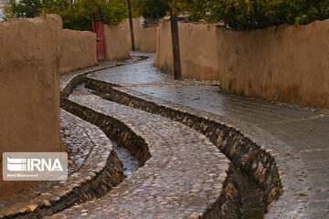 Enjila Garden alley in Fall in centeral Iran; Semnan