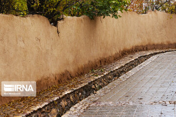 Enjila Garden alley in Fall in centeral Iran; Semnan