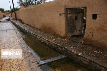 Enjila Garden alley in Fall in centeral Iran; Semnan