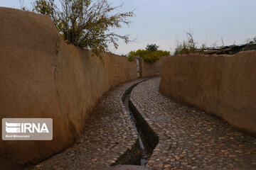 Enjila Garden alley in Fall in centeral Iran; Semnan