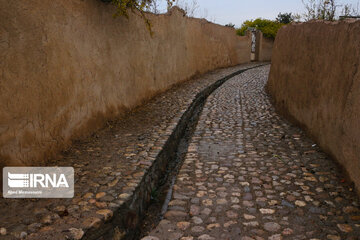 Enjila Garden alley in Fall in centeral Iran; Semnan