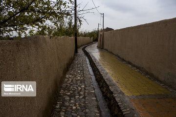 Enjila Garden alley in Fall in centeral Iran; Semnan