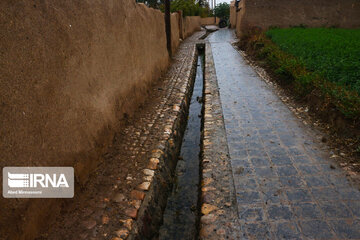 Enjila Garden alley in Fall in centeral Iran; Semnan