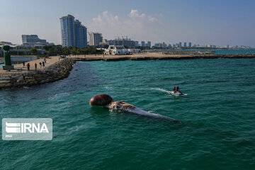 Echouage d’une deuxième baleine sur l’île de Kish