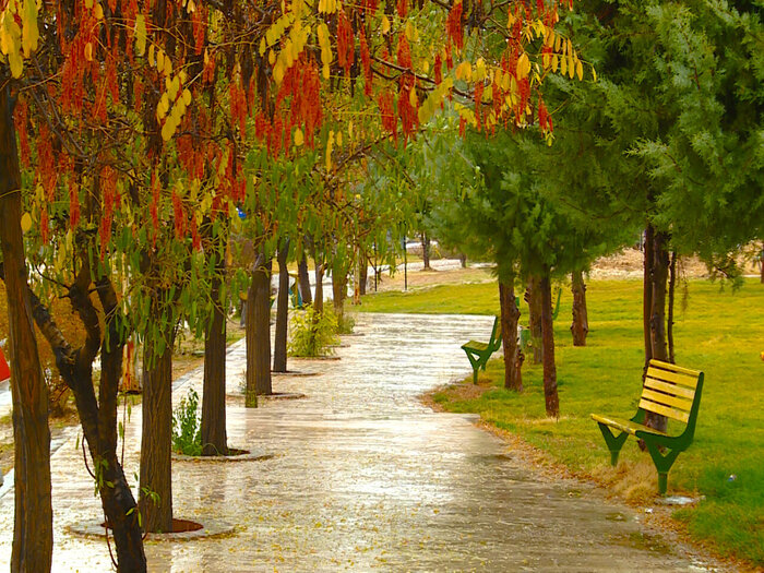 Город Ясудж после дождя
