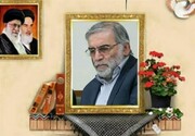 گشایش دفتر مجازی یادبود شهید فخری‌زاده در سفارت ایران در پاکستان