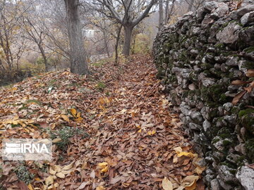 Autumn in Uraman, western Iran