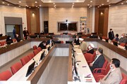 نماینده مجلس:شهادت شهید فخری‌زاده تصویب طرح اقدام راهبردی را تسریع کرد