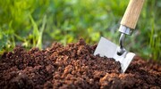 نانوحسگر در رصد آلودگی آرسنیک خاک و گیاهان به کار گرفته شد

