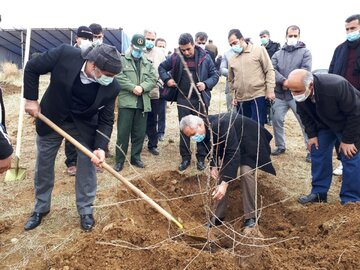 عملیات بیولوژیک توسعه جنگل در ۲ هزار هکتار مرتع کردستان آغاز شد