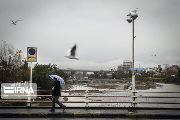 Aves migratorias llegan al río “Cheshme Kile” de Tonecabón