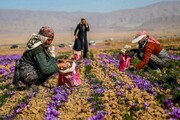 آذربایجان غربی رتبه ۱۵ کشور در جذب اعتبارات اشتغال پایداری روستایی را دارد 