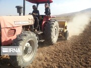 بیش از ۴۸ هزار هکتار از اراضی مهاباد به کشت گندم اختصاص یافت