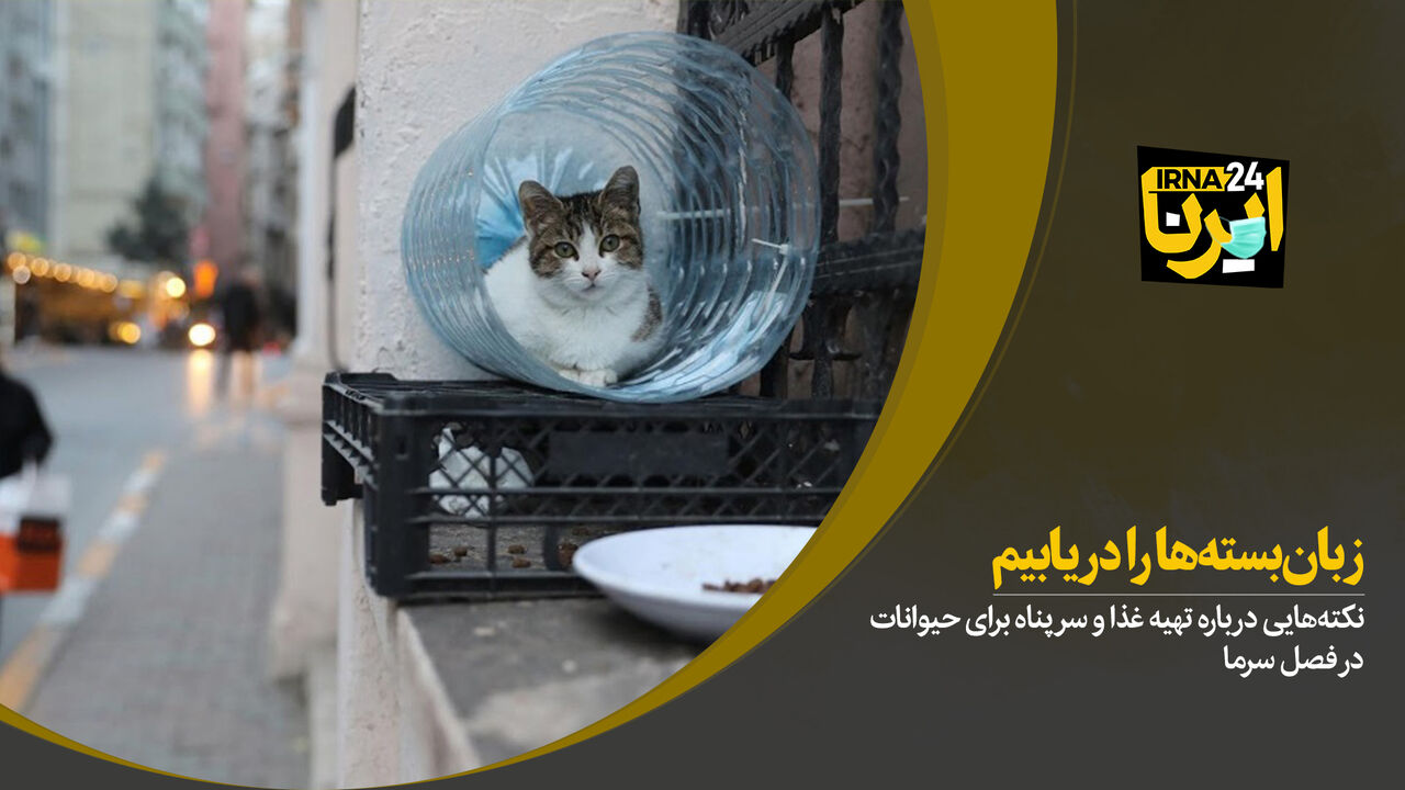زبان‌بسته‌ها را دریابیم