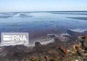 غبار خلیج گرگان در صورت خشک شدن ۵۰ کیلومتر را می‌پوشاند 