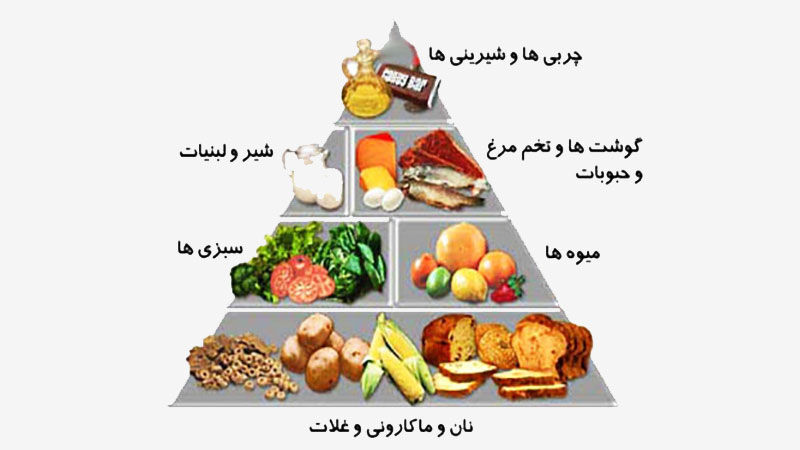 نقش تغذیه در سلامت بدن و پیشگیری از بیماری‌ها
