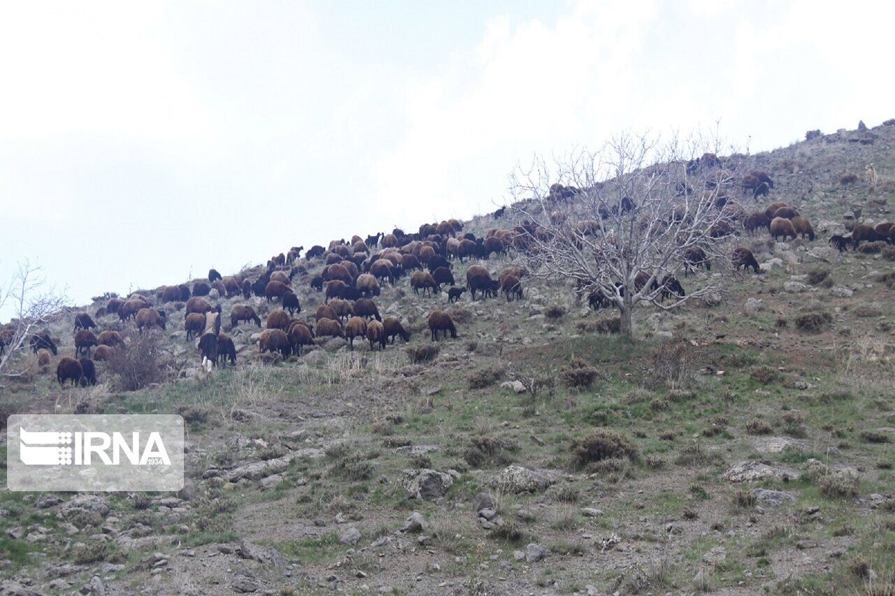 سرمایه صندوق حمایت از توسعه منابع طبیعی خراسان شمالی بیش از ۲ برابر شد