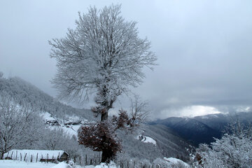 برف در روستاهای ییلاقی رضوانشهر‎