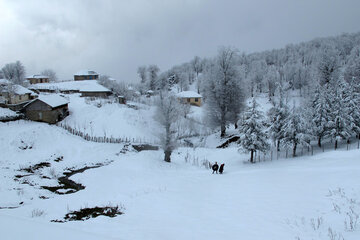 برف در روستاهای ییلاقی رضوانشهر‎