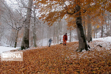 Snow sweeping in Autumn time in Northern Iran