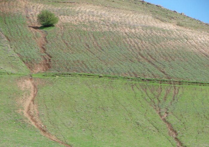 شکوفایی ظرفیت‌های کشاورزی گلستان حمایتهای دولت جهادی را می‌طلبد