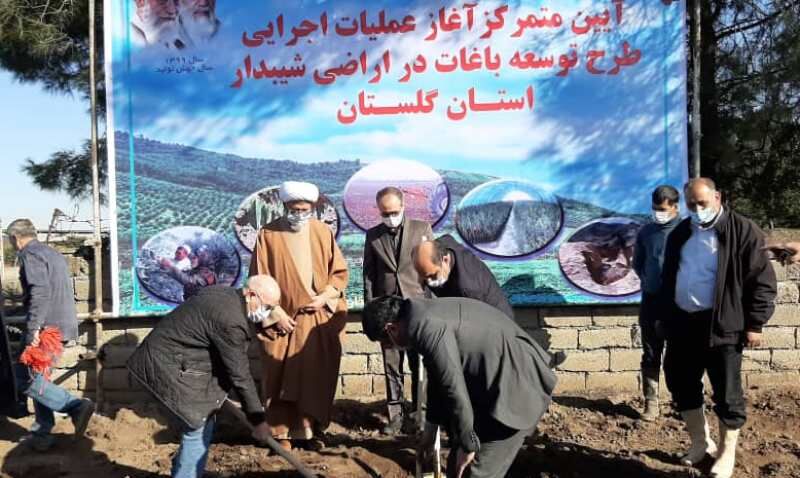 درخت‌کاری در چهار هزار هکتار از اراضی شیب‌دار گلستان آغاز شد