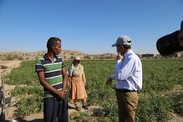 بازدید فتاح از لوله گذاری خط انتفال گوره به جاسک در بندرعباس