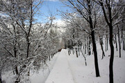 En image le parc Elgolu de Tabriz sous la neige