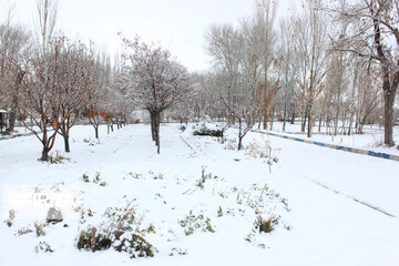 Snowy day in last days of Autumn in Northwestern Iran