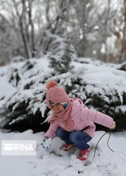 Snowy day in last days of Autumn in Northwestern Iran