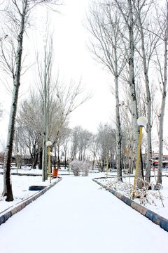 Snowy day in last days of Autumn in Northwestern Iran