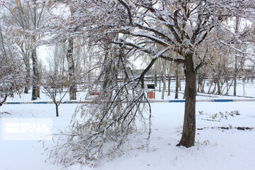 Snowy day in last days of Autumn in Northwestern Iran