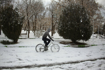 En image le parc Elgolu de Tabriz sous la neige 