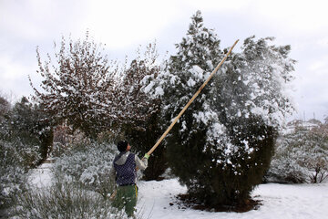 En image le parc Elgolu de Tabriz sous la neige 