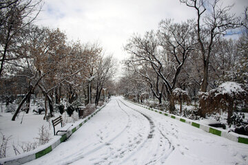 En image le parc Elgolu de Tabriz sous la neige 