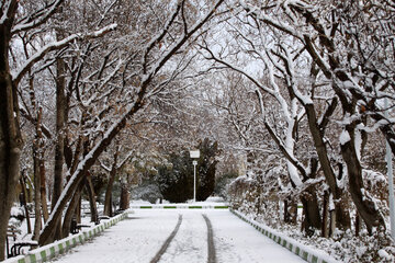 En image le parc Elgolu de Tabriz sous la neige 