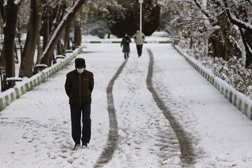 En image le parc Elgolu de Tabriz sous la neige 