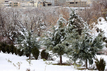 En image le parc Elgolu de Tabriz sous la neige 