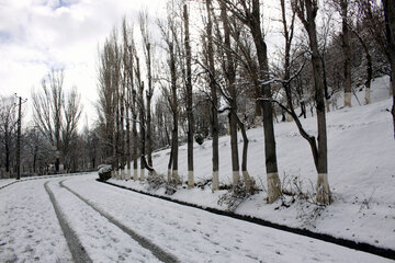 En image le parc Elgolu de Tabriz sous la neige 