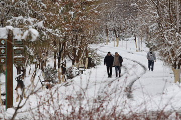 En image le parc Elgolu de Tabriz sous la neige 