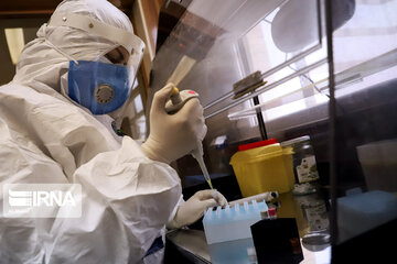 تازه ترین خبرها از تولید واکسن ایرانی کرونا