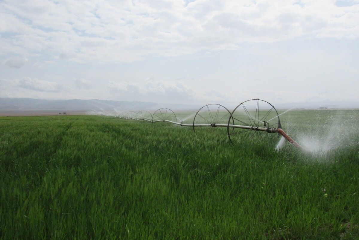 ۶۷۶ میلیارد ریال برای آبیاری نوین کشاورزی در استان سمنان هزینه شد