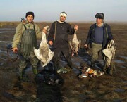 دریابانان گلستان عاملان کشتار ۲۶ پرنده وحشی را دستگیر کردند
