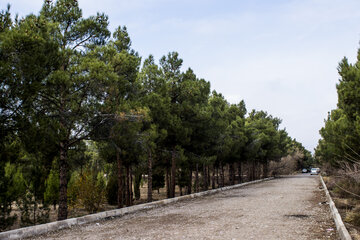 بوستان جنگلی سوکان سمنان