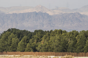 بوستان جنگلی سوکان سمنان