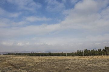 بوستان جنگلی سوکان سمنان