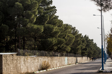 بوستان جنگلی سوکان سمنان