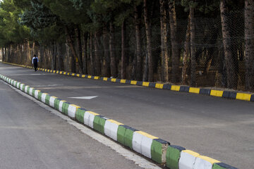 بوستان جنگلی سوکان سمنان