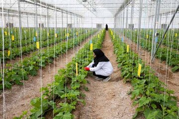 نخستین مرکز نیکوکاری اشتغال و کارآفرینی کشاورزی در سمنان افتتاح شد