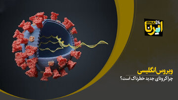 کرونای انگلیسی تمامی شهرستان‌های مازندران را درگیر کرد